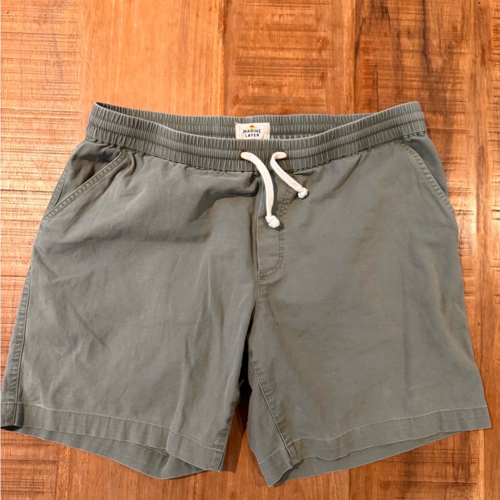 Marine Layer green shorts large